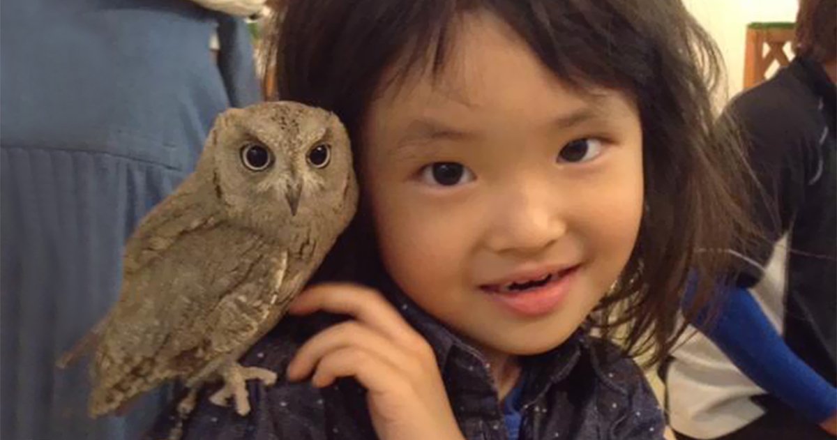 🦉 아울파크 부엉이 카페 이케부쿠로 서쪽 출구(아우루파-쿠 후쿠로-카훼 이케부쿠로 니시구치) 이미지 6